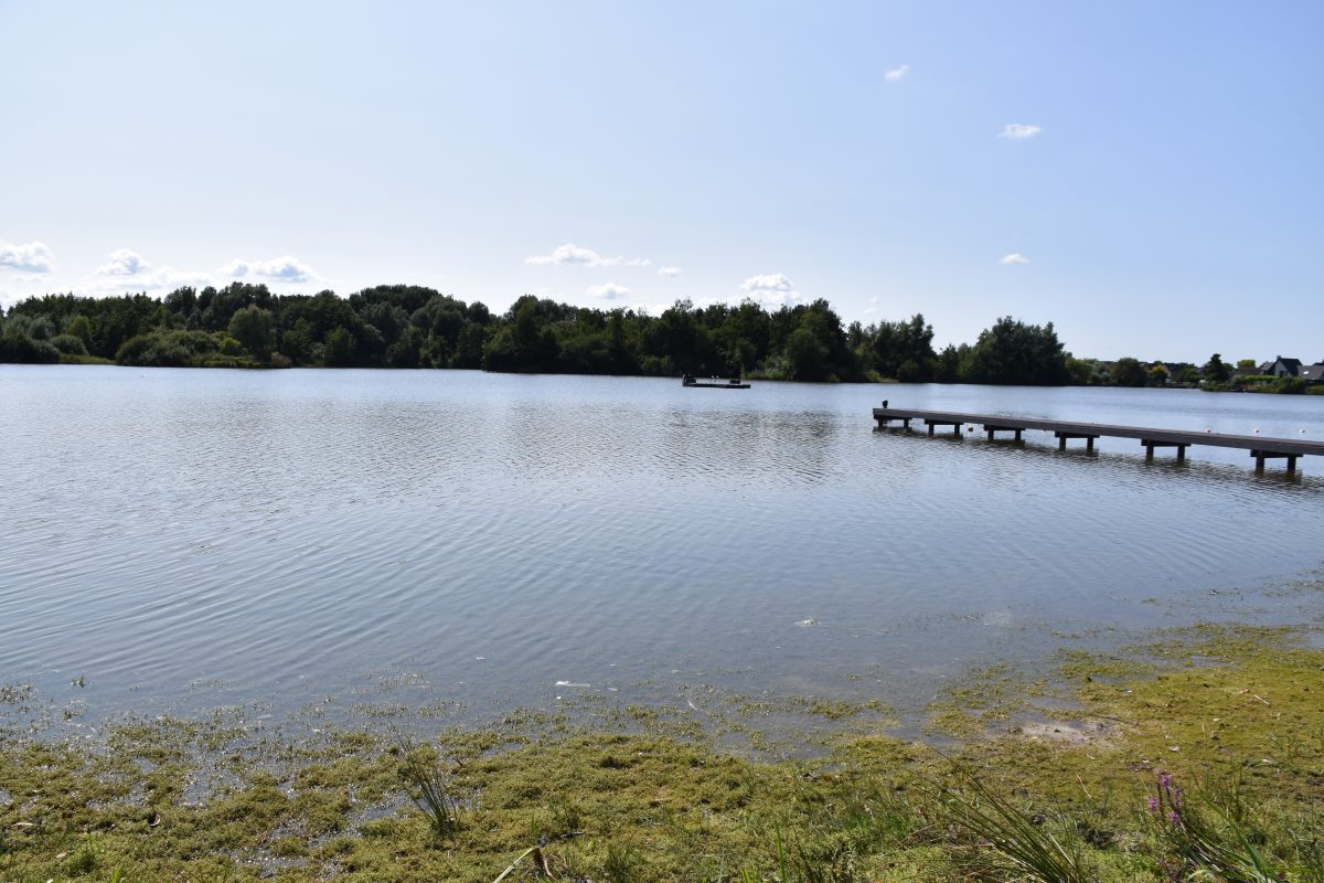 Kleine rietplas, Meren